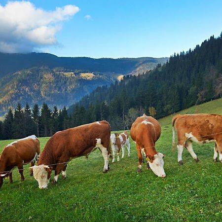 Tourist Farm Kladje Villa Ljubno Luaran gambar