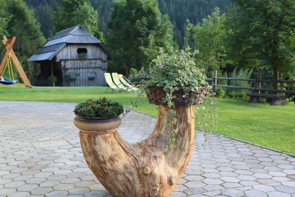 Tourist Farm Kladje Villa Ljubno Luaran gambar