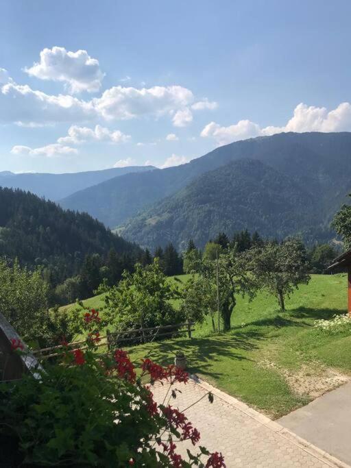Tourist Farm Kladje Villa Ljubno Luaran gambar