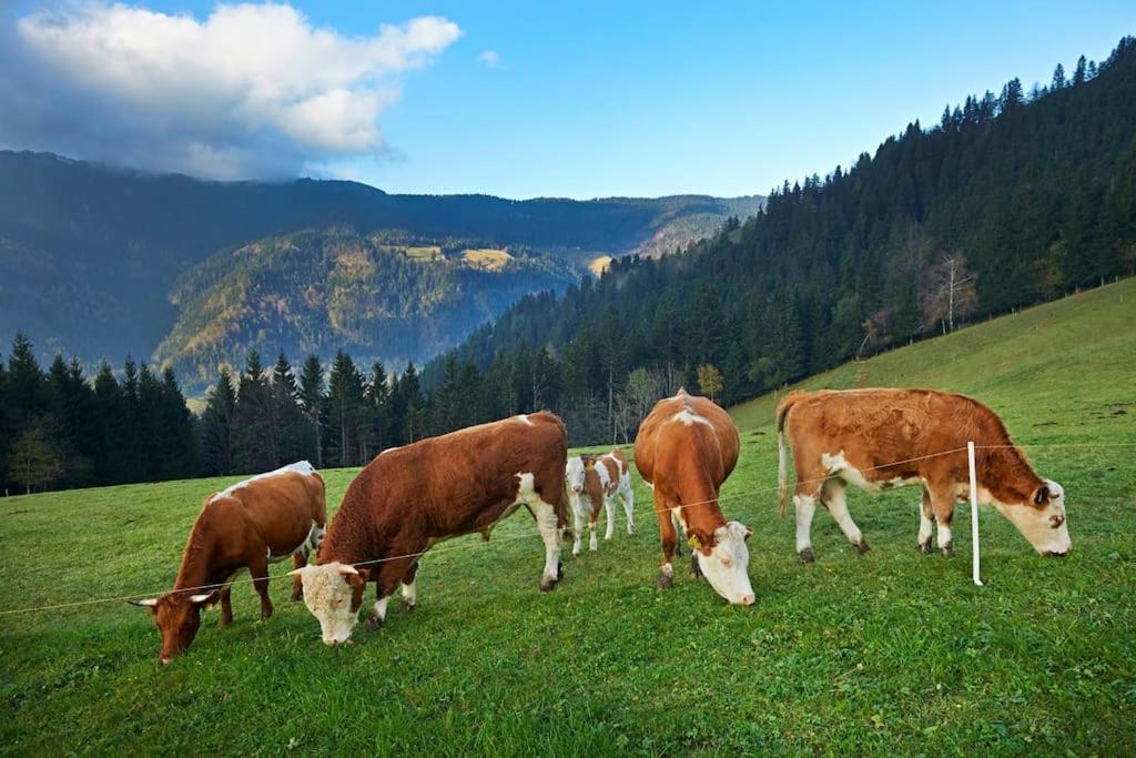 Tourist Farm Kladje Villa Ljubno Luaran gambar