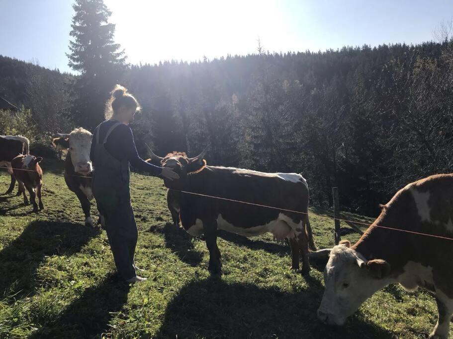 Tourist Farm Kladje Villa Ljubno Luaran gambar