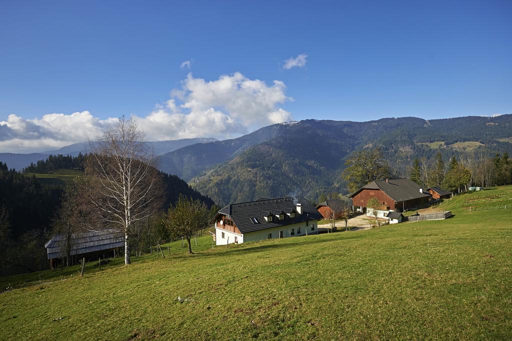 Tourist Farm Kladje Villa Ljubno Luaran gambar