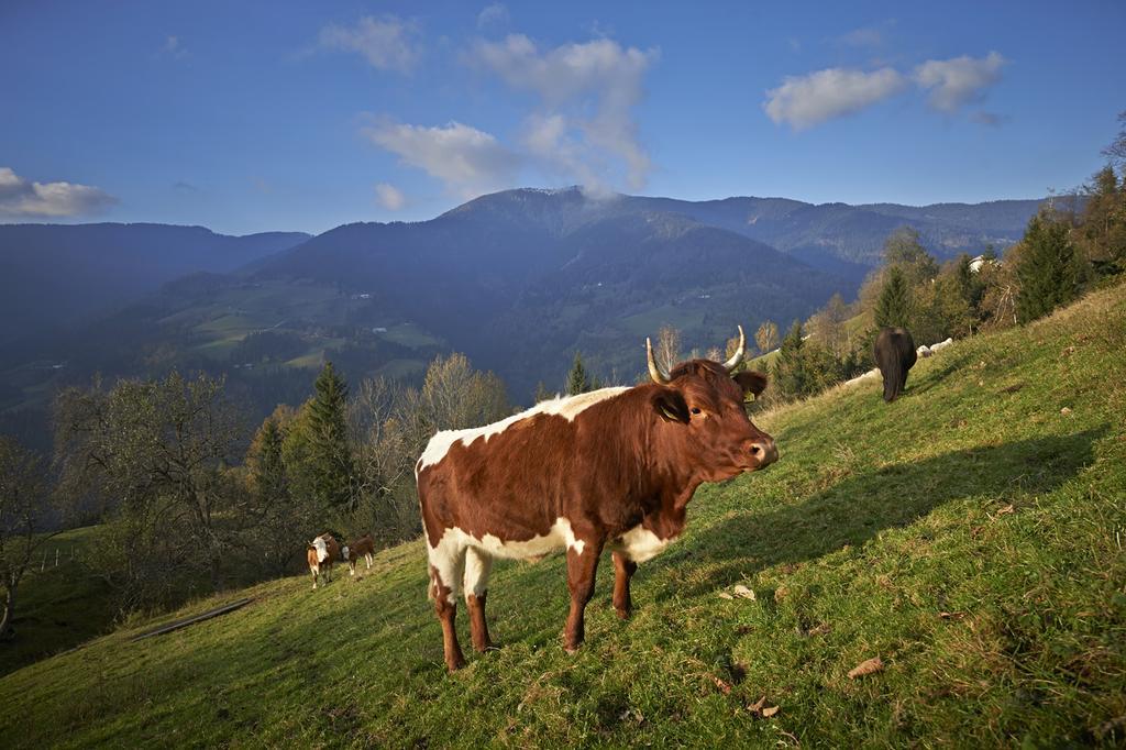 Tourist Farm Kladje Villa Ljubno Luaran gambar
