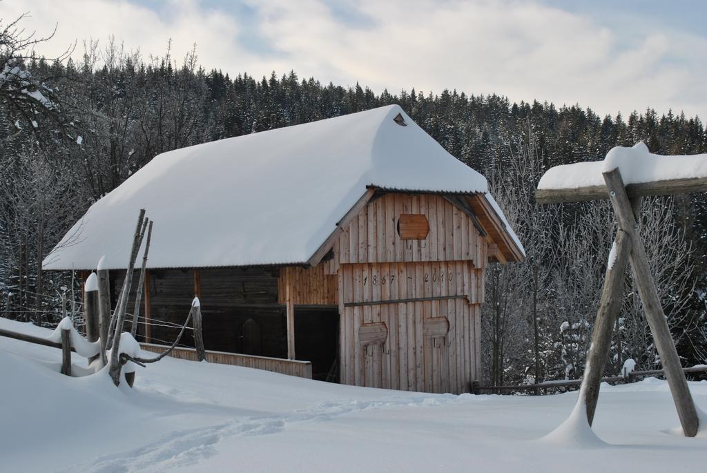 Tourist Farm Kladje Villa Ljubno Luaran gambar