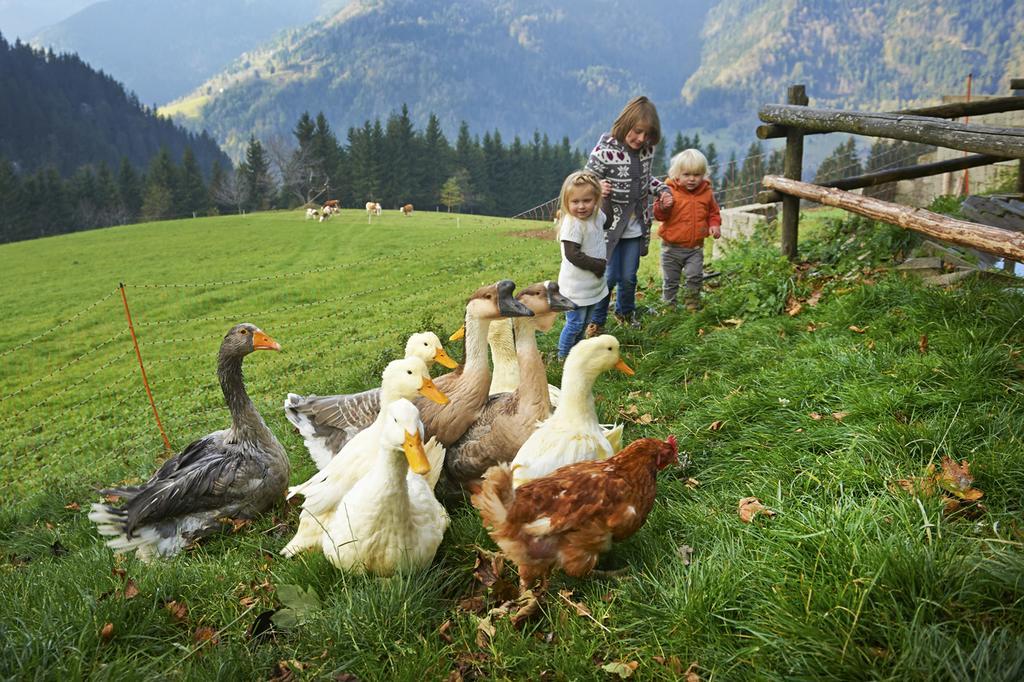 Tourist Farm Kladje Villa Ljubno Luaran gambar